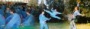 ./photos/Noisiel/_pre_cariboost_cal_202003_20v1.jpg